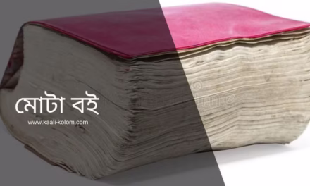 মোটা বই