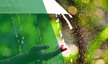 সেদিন তুমি বৃষ্টি হয়েছিলে