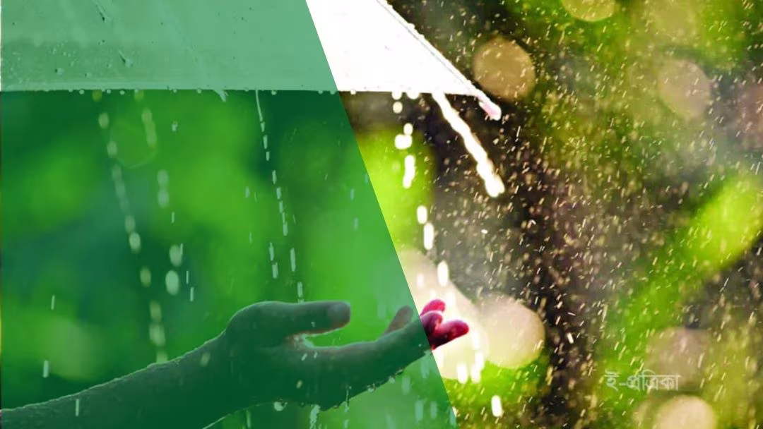 সেদিন তুমি বৃষ্টি হয়েছিলে