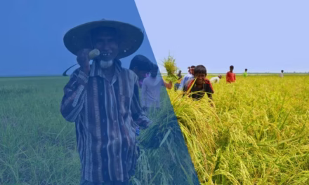 ক্ষুদে চাষী
