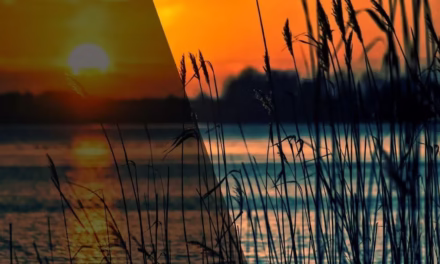 সত্যি বলতে পার?