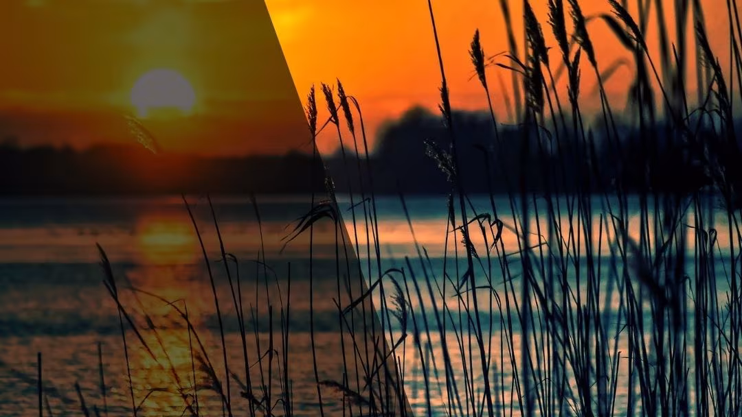 সত্যি বলতে পার?