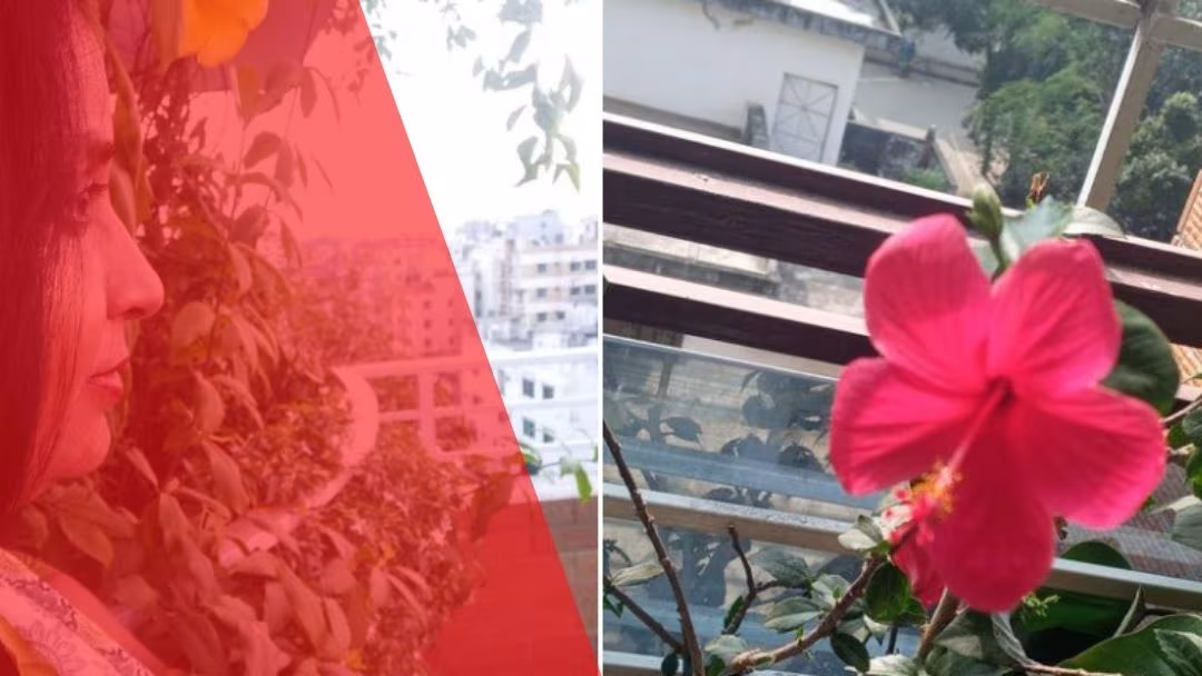 ভ্যালেন্টাইন্স ভাবনা
