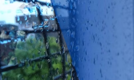 একলা
