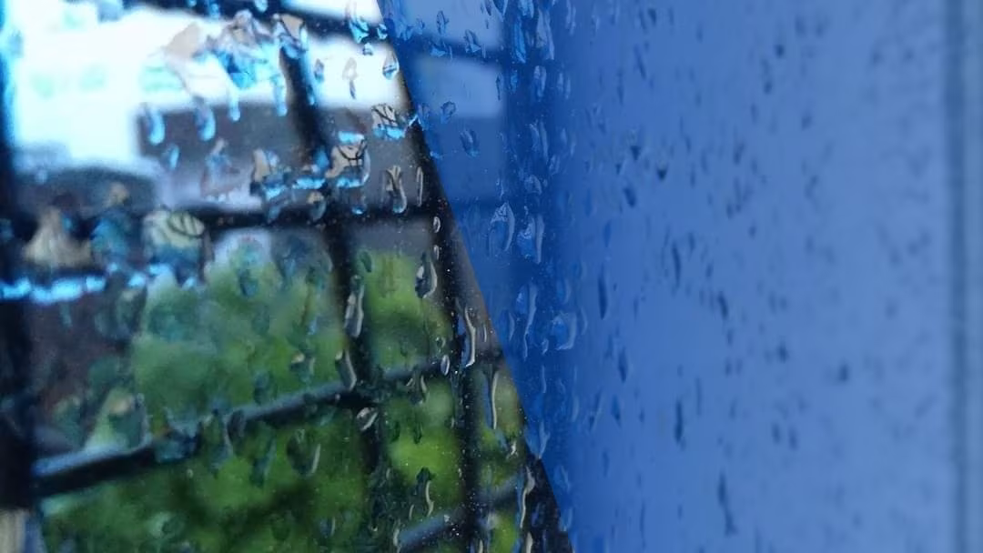 একলা