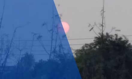 জীবনের গল্প