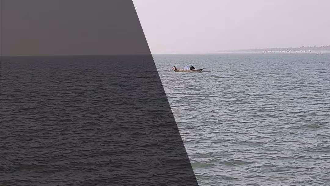 জলেই জীবন