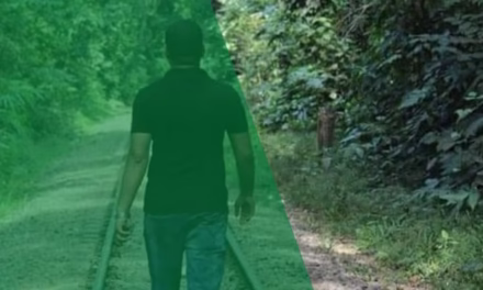 নতুন পথে যাত্রা