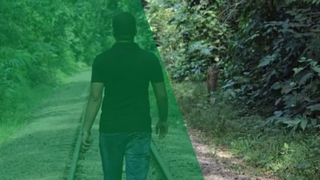 নতুন পথে যাত্রা