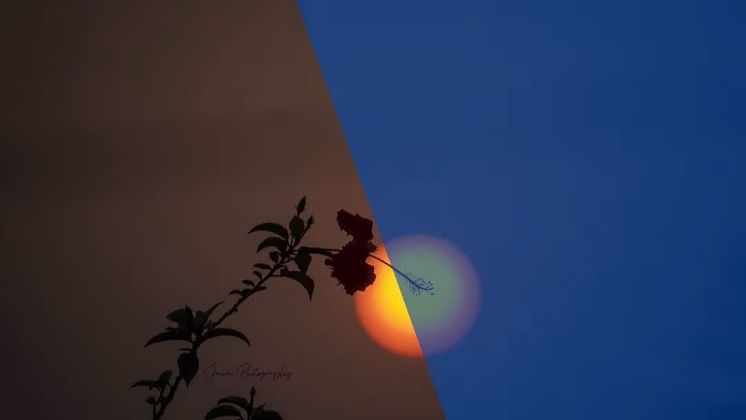 তুমিও!