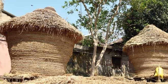 স্বাধীনতা