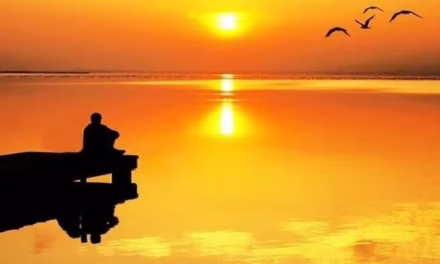 তুমিহীনা আমি
