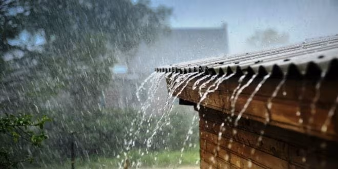 আরণ্যকের পংক্তিমালা