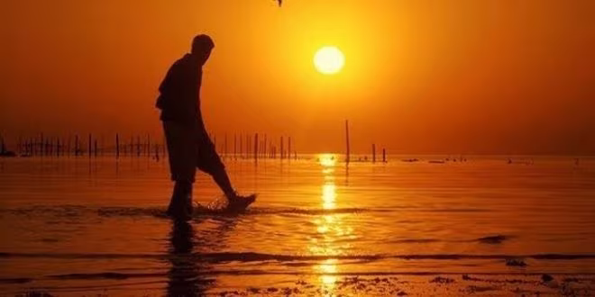 দহন