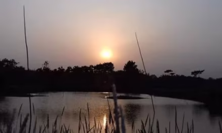 গর্বে ভরা বুক