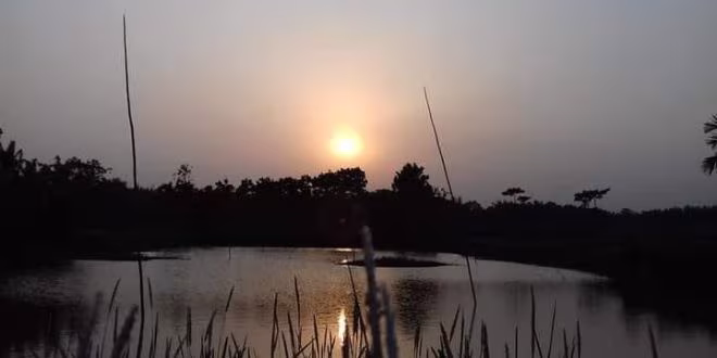 গর্বে ভরা বুক
