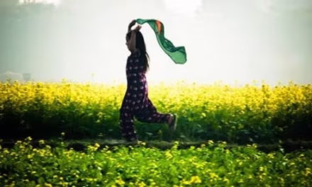 দাম দিয়ে কিনেছি