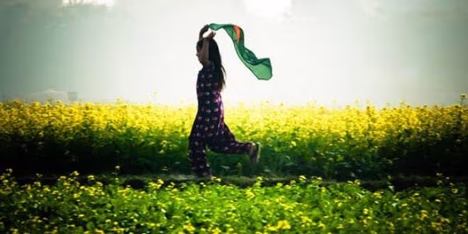 দাম দিয়ে কিনেছি