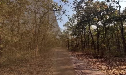 বসন্ত দিন