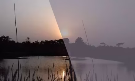 বিশ্ব বিজয়ী কবি