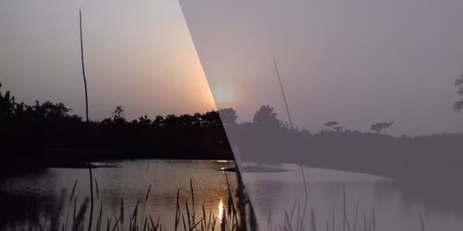 বিশ্ব বিজয়ী কবি