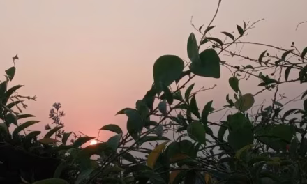 অপেক্ষমান রথ