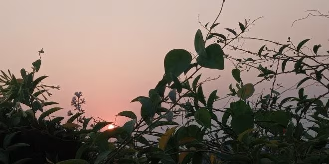 অপেক্ষমান রথ