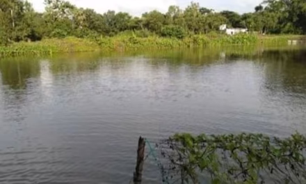 জগতপুর সাদা বাড়ি এবং আমি (১)