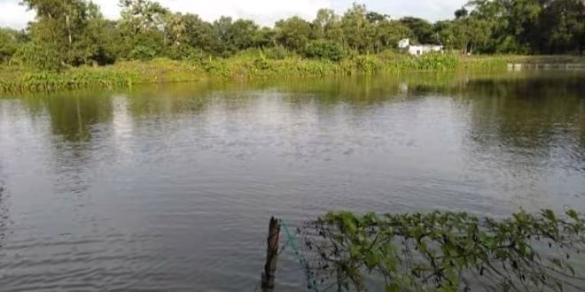 জগতপুর সাদা বাড়ি এবং আমি (১)