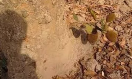 আরো সাঁইত্রিশ বছর পরে