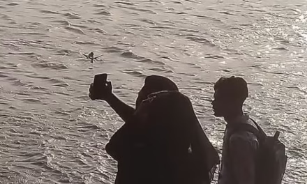 হারায়