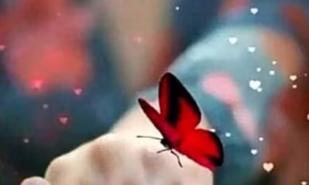 প্রতারক ভ্রমর