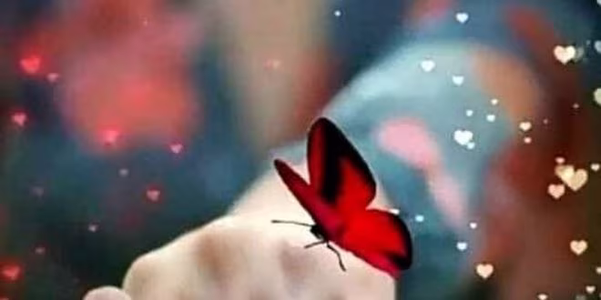 প্রতারক ভ্রমর