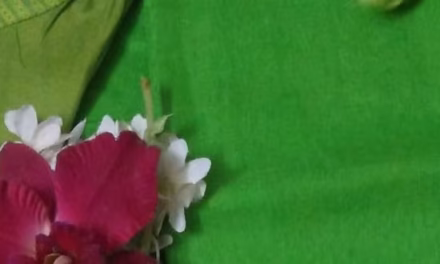 অমরাবতী কণ্যার প্রেম
