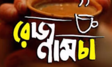 রোজনামচা