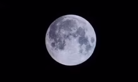 একজন ইন্দ্রাণী চক্রবর্তী
