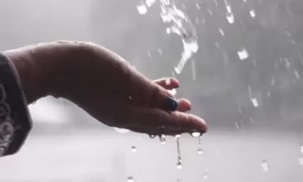 এ শহরে বৃষ্টি নামুক