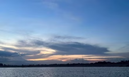 ধানসিঁড়িটির পাড়ে