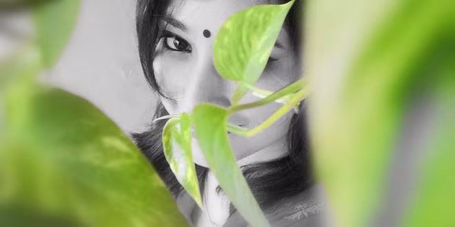 একটা চিলেকোঠা হবে?