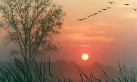 সুন্দর সকাল