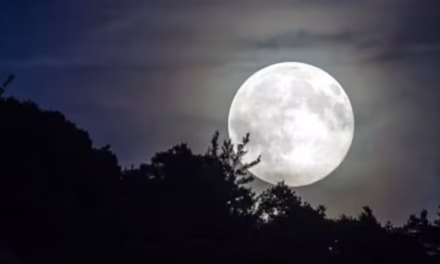 চাঁদ ও রাতের গল্প