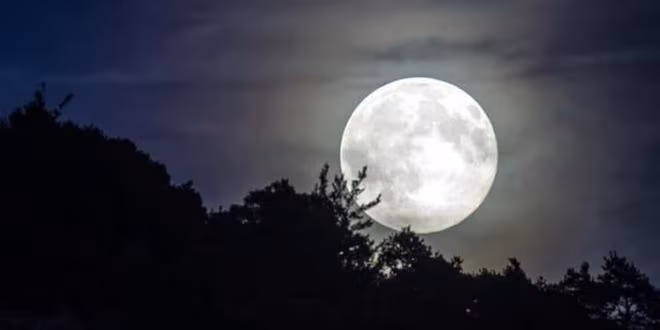 চাঁদ ও রাতের গল্প