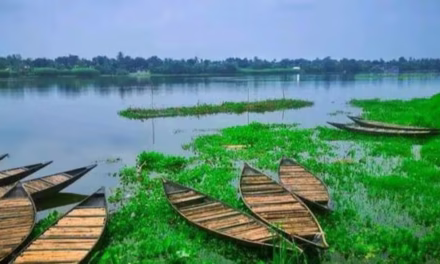 ডিঙি নৌকা