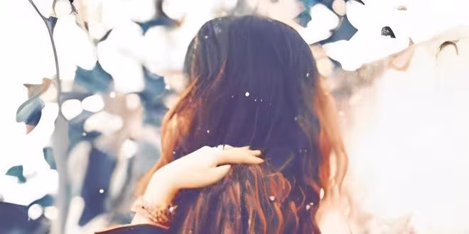 প্রেমতরু