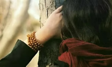 পরিচয়
