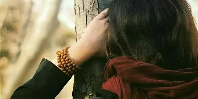 পরিচয়
