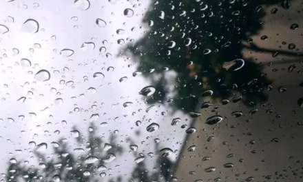 স্বর্ণকাব্য