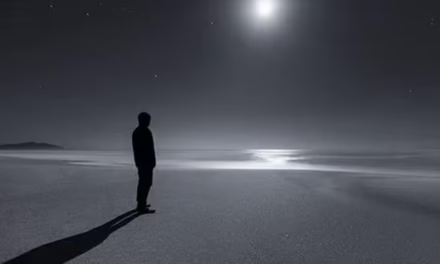 নিঃসঙ্গতায়