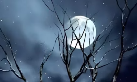 নির্জনতায় তুমি আমি