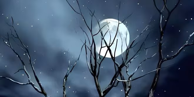 নির্জনতায় তুমি আমি